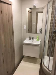Koupelna v ubytování Apartement Blanc de luxe