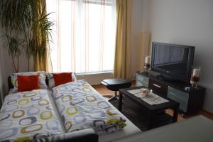 TV a/nebo společenská místnost v ubytování Apartmán Zderadova
