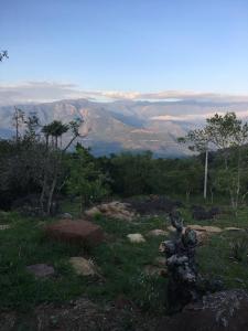 Blick auf einen Hügel mit Bäumen und Bergen in der Unterkunft Finca San Pedro in Barichara