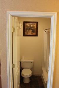a bathroom with a toilet and a picture on the wall at Whitney Portal Hotel And Hostel in Lone Pine
