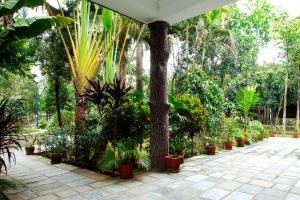 Giardino di Jungle Safari Resort