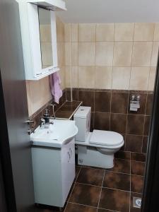 a bathroom with a toilet and a sink at Villa Ivan in Risan