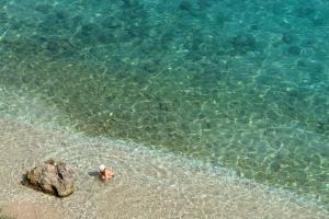 Naturlandskabet i nærheden af lejligheden