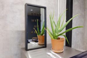 a mirror and a potted plant on a table at The Cocoon Hostel in Bangkok +53 photos