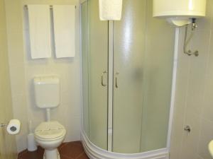 a bathroom with a toilet and a glass shower at Brankov Konak in Niš