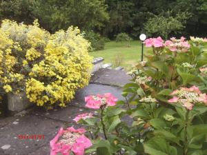 een tuin met roze en gele bloemen en een straatlicht bij SunnySide-Cottage in Ennistymon