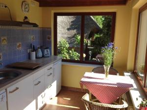 Kuchyň nebo kuchyňský kout v ubytování Hering FeWo I Apartment Terrace
