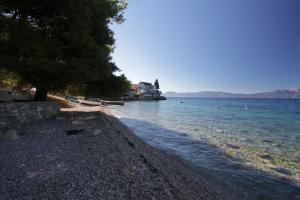 Príroda v okolí apartmánu + 10 fotografií