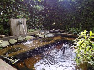 a man standing in a pond in a garden at Vakantiehuis Charmant in Brakel