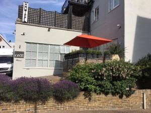 住宿加早餐旅馆所在大楼