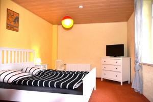 ein Schlafzimmer mit einem Bett und einem TV auf einer Kommode in der Unterkunft Appartmenthaus Wartburg in Bad Schandau