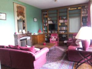 a living room with two couches and a fireplace at Château Bel-Air in Villers-Farlay