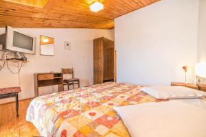 TV a/nebo společenská místnost v ubytování Apartments and Rooms Ana Pomer 217