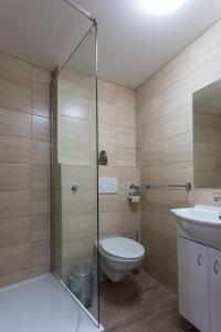 Un baño de Attic Rooms Tábor