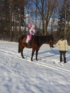 Jazda na koni pri horskej chate alebo okolí