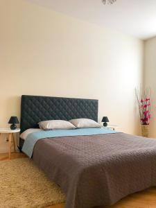 ビャウィストクにあるD&M Apart Malmeda 17のベッドルーム1室(大型ベッド1台、青いヘッドボード付)
