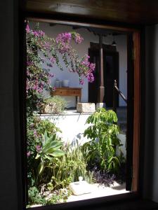 Casa Rural Palomar - Men Only外面的花园