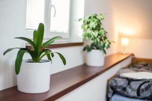 Una cama o camas en una habitación de Attic Rooms Tábor
