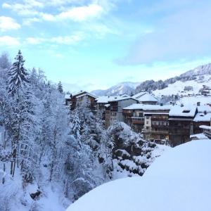 フルメにあるLes portes du Mont Blancの雪に覆われた町