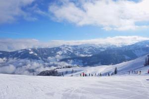 Berggasthof Schatzbergalm durante l'inverno