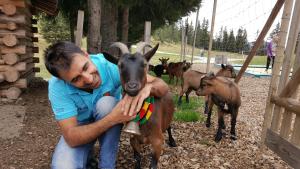 Altri animali domestici presso la locanda o nei dintorni