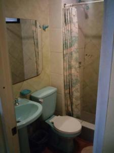 La salle de bains est pourvue de toilettes, d'un lavabo et d'une douche. dans l'établissement Hotel Rozal Spa Iquique, à Iquique
