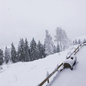 Mynd úr myndasafni af Reinwalds Almhütte í Millstatt