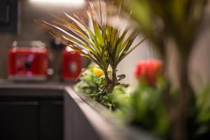 Fotografia z galérie ubytovania BRAND NEW 2018 LUXURY APARTMENT 10' MINUTES WALK FROM ACROPOLIS AND 6 FROM METRO v Aténach