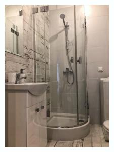 Kúpeľňa v ubytovaní Apartament przy Ratuszu + 12 fotografií