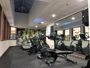 Fitness centrum a/nebo fitness zařízení v ubytování Medallion Inn and Suites