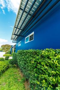 a blue house with a hedge in front of it at P House in Kanchanaburi City
