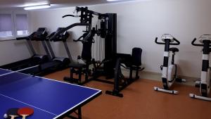 Fitness centrum a/nebo fitness zařízení v ubytování Hostel Fortis