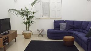 ein Wohnzimmer mit einem blauen Sofa und einem TV in der Unterkunft Casa Robusto in Salvaterra de Magos