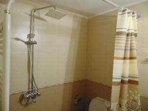 eine Dusche im Bad mit WC und Duschvorhang in der Unterkunft Burgas Central Aleksandrovska in Burgas City