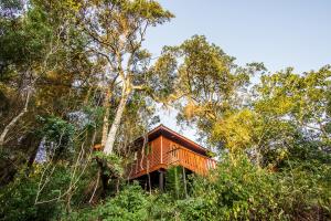 Gallery image of Mtunzini Forest Lodge Self Catering Resort in Mtunzini