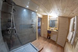 a bathroom with a shower and a sink at L'Esprit du Bois in Aydat