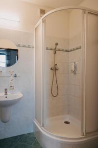 a bathroom with a shower and a sink at Červený Mlýn in Tišnov