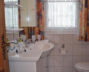 a bathroom with a sink and a toilet at Müritzblick 36 in Röbel