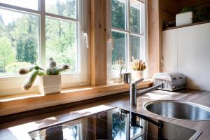 uma cozinha com um lavatório e uma janela com um cacto em Jagdhaus zur Bischofsmühle em Helmbrechts