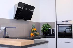 Kuchyň nebo kuchyňský kout v ubytování Luxury Apartment Kampanel