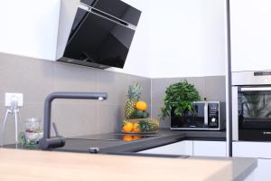 Kuchyň nebo kuchyňský kout v ubytování Luxury Apartment Kampanel