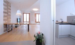 Kuchyň nebo kuchyňský kout v ubytování Luxury Apartment Kampanel