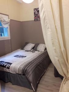 カンペールにあるAppartement Treuz centre historiqueの蚊帳付きのベッドルームのベッド1台