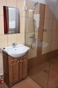 a bathroom with a sink and a shower at Katalin Kulcsosház in Băile Chirui