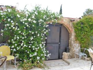 Zahrada ubytování Casa Rural Ubeda - B&B - Pinoso-Alicante