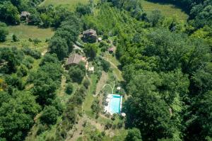 Bazén v ubytování Agriturismo Nibbiano nebo v jeho okolí