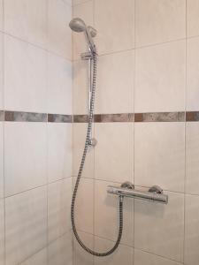 y baño con ducha con cabezal de ducha. en Flensburg Ferienwohnungen Apartment 2, en Flensburg