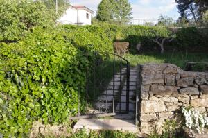 Ogród w obiekcie Cabañas Miraduero