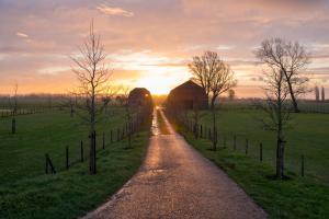 a dirt road leading into a field with a sunset at Het Zeeuwsverblijf in Terneuzen
