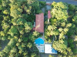 een uitzicht over een resort met palmbomen bij Hotel Playa Westfalia in Puerto Limón